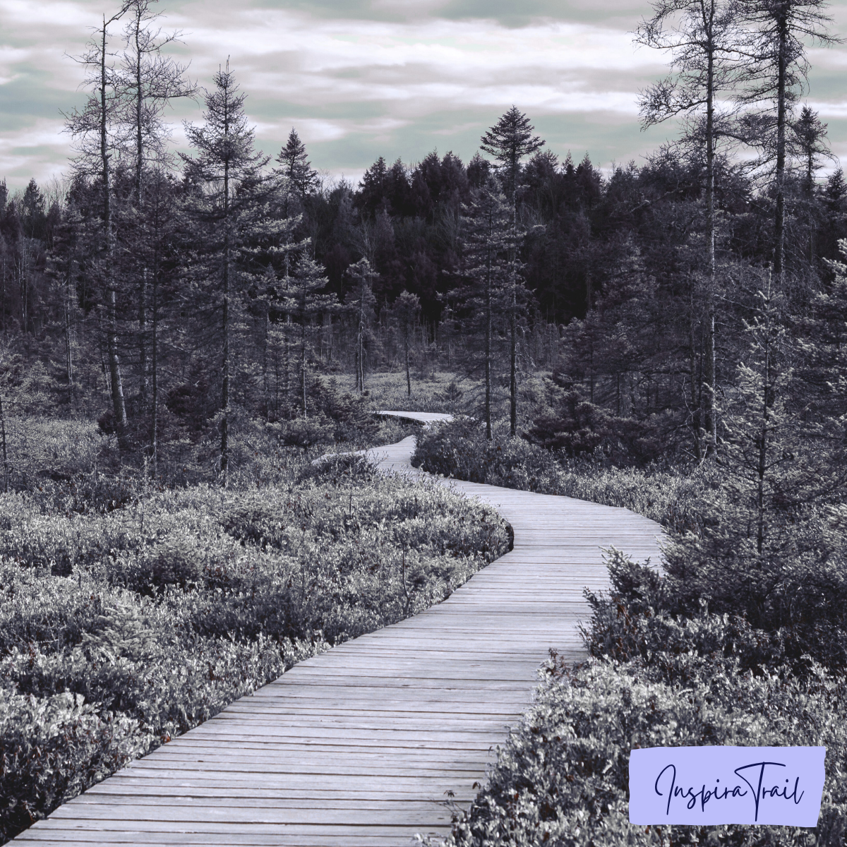 Clearing the Path: A Trail Guide’s Approach to Streamlining Workflows